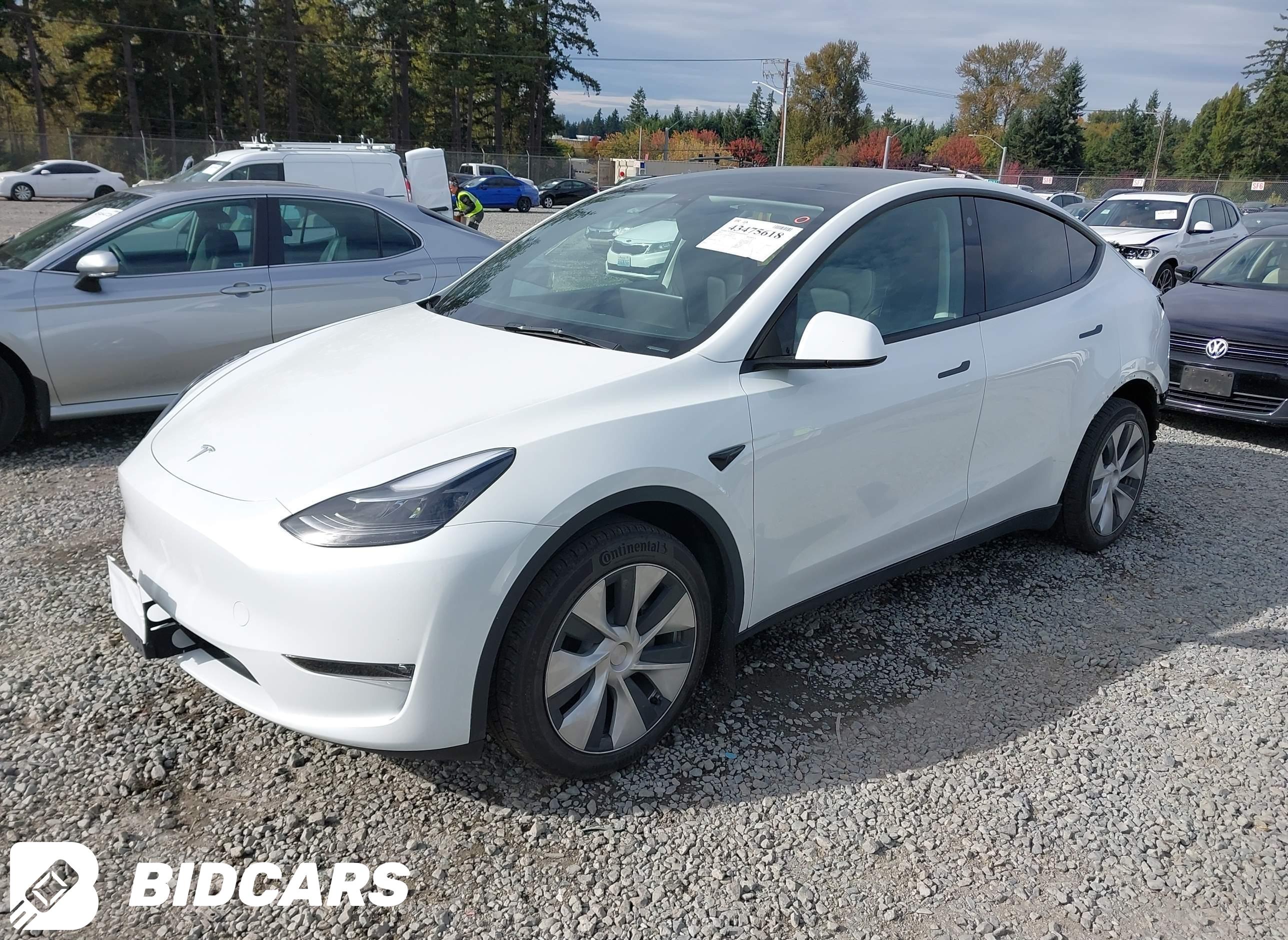 2023 Tesla Model Y, Awd/Long...