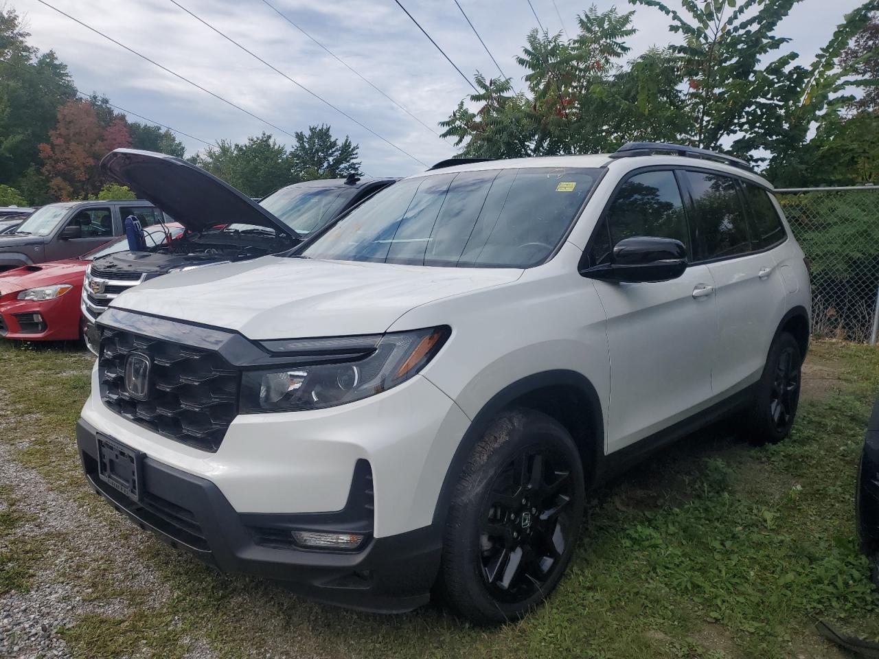 2022 Hond Passport, Elite