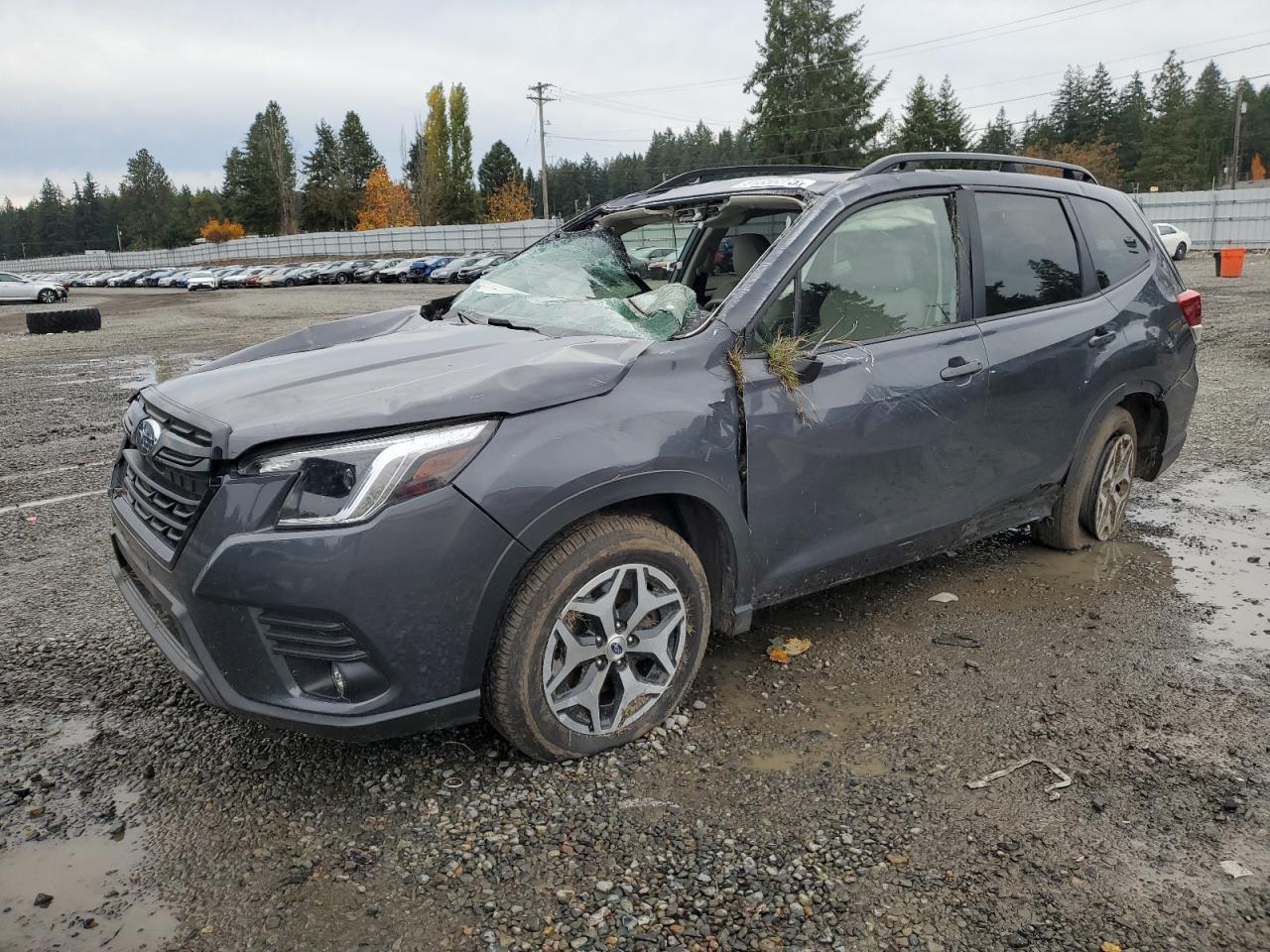 2024 Subaru Forester, Premium