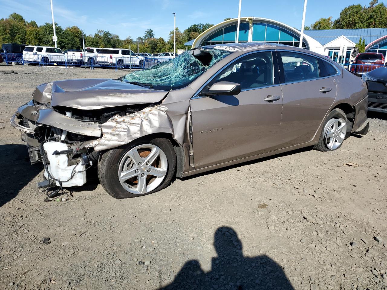 2023 Chevrolet Malibu, LT