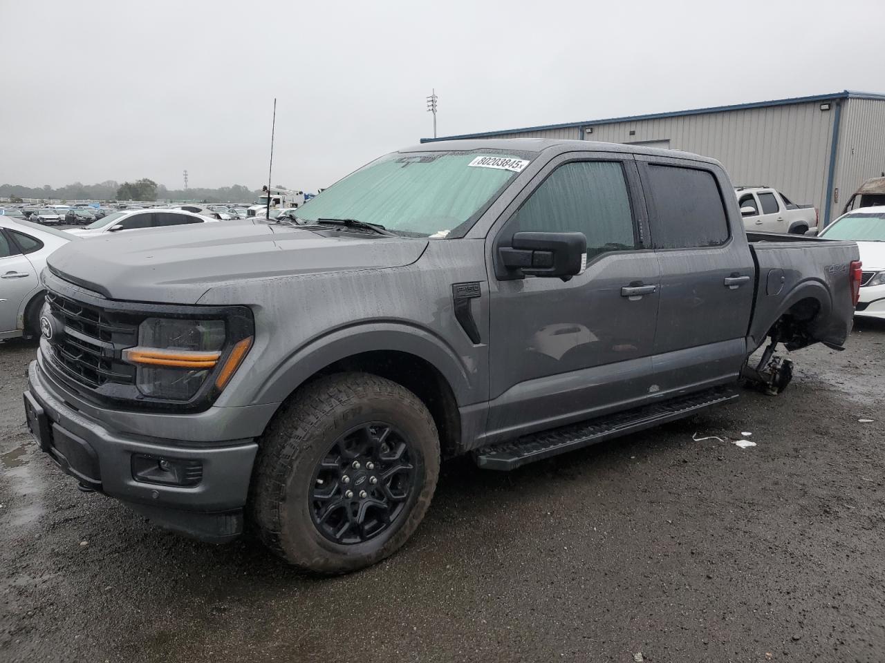 2024 Ford F-150, Xlt
