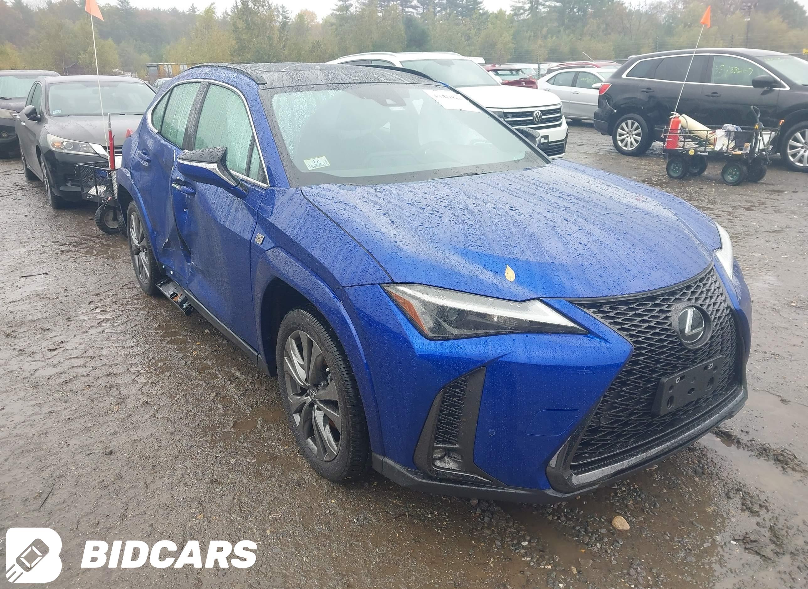 2024 Lexus UX 250H, F Sport D...