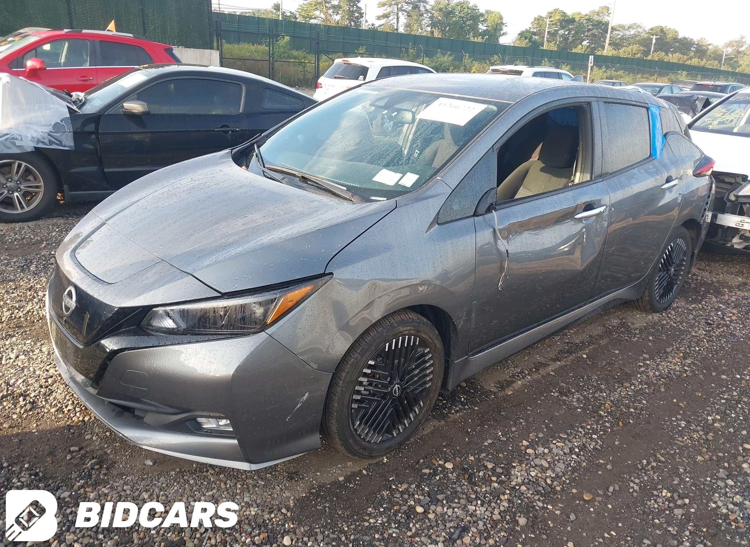 2024 Nissan Leaf, Sv Plus