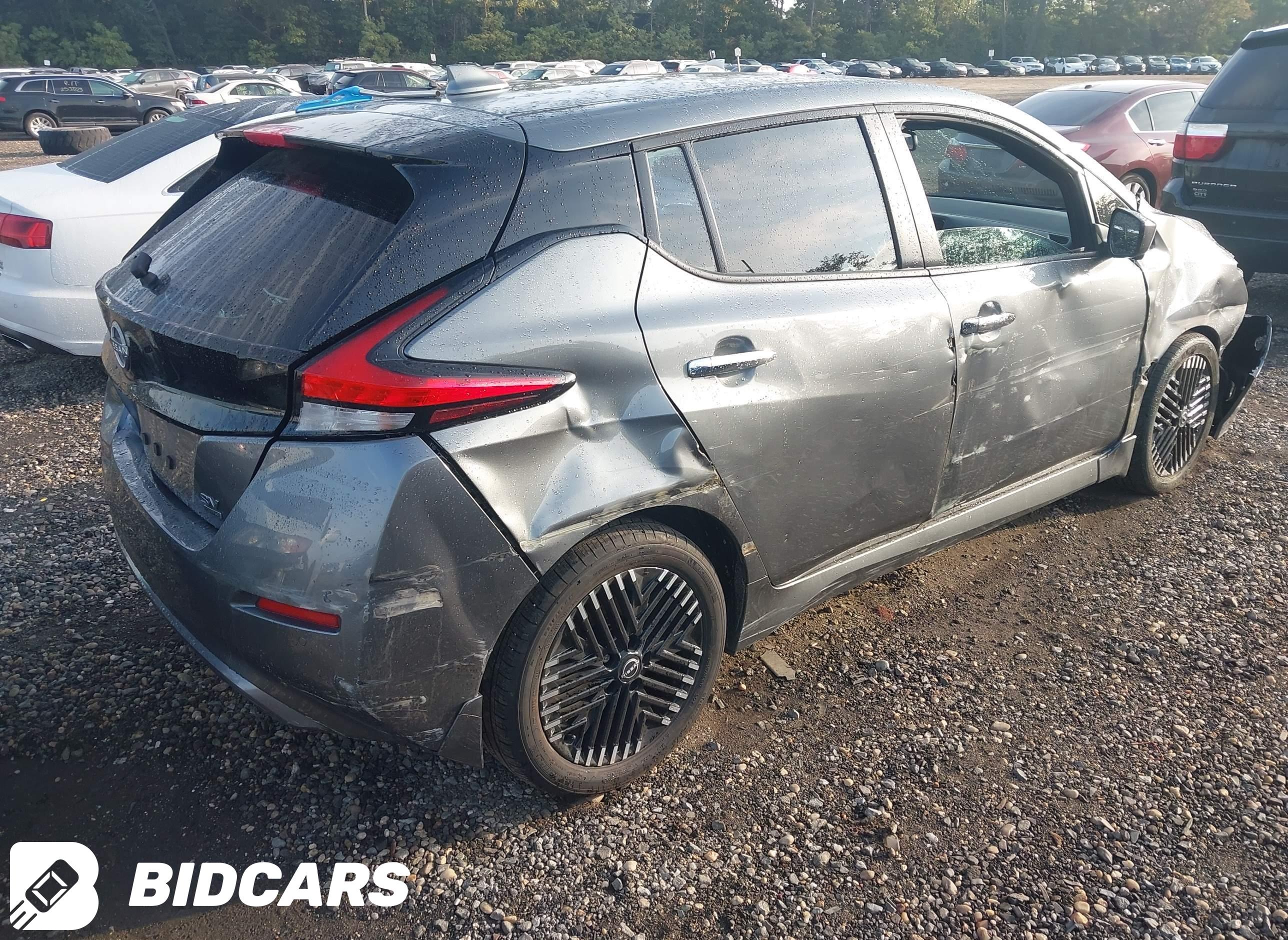 2024 Nissan Leaf, Sv Plus