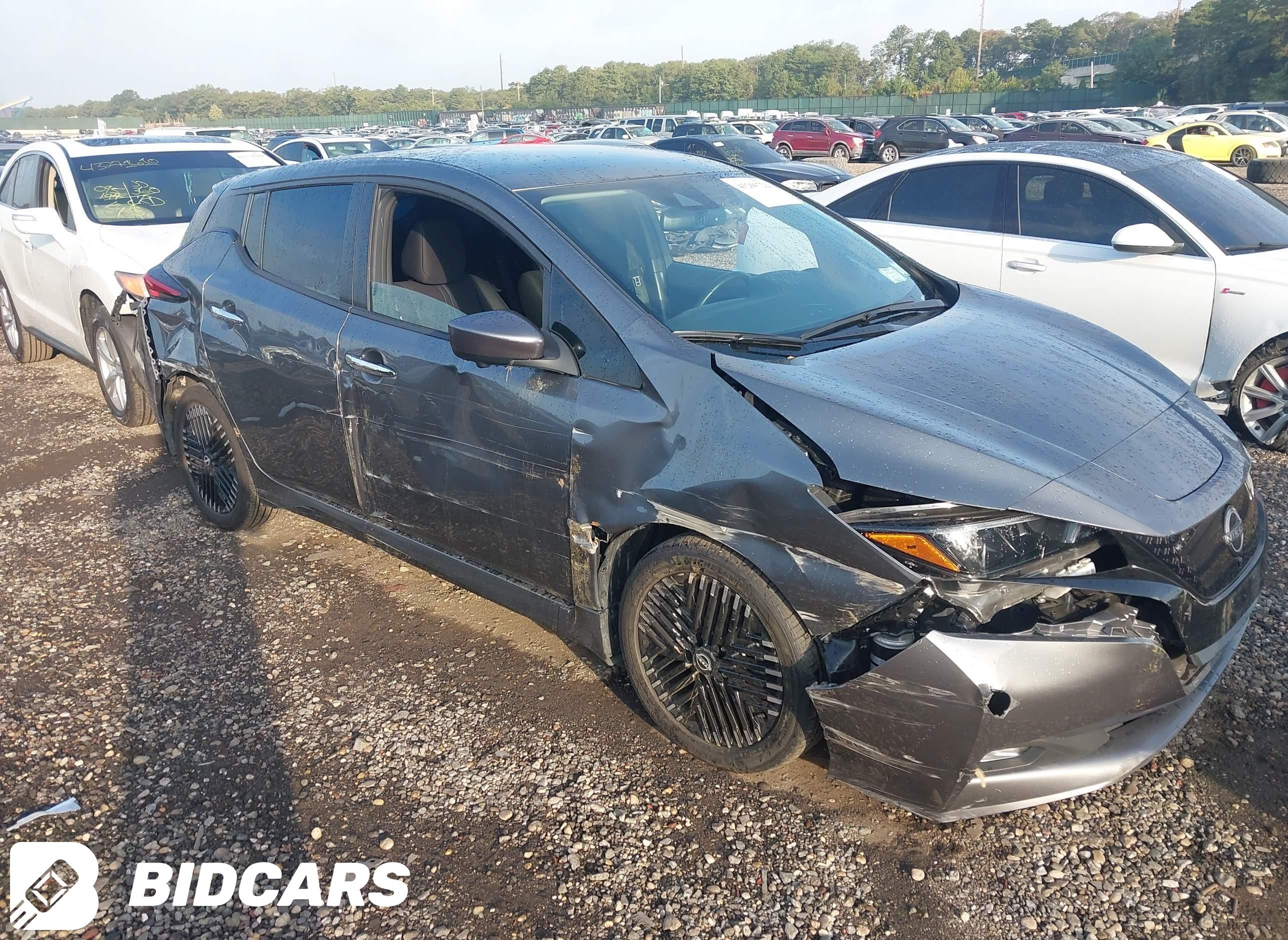 2024 Nissan Leaf, Sv Plus