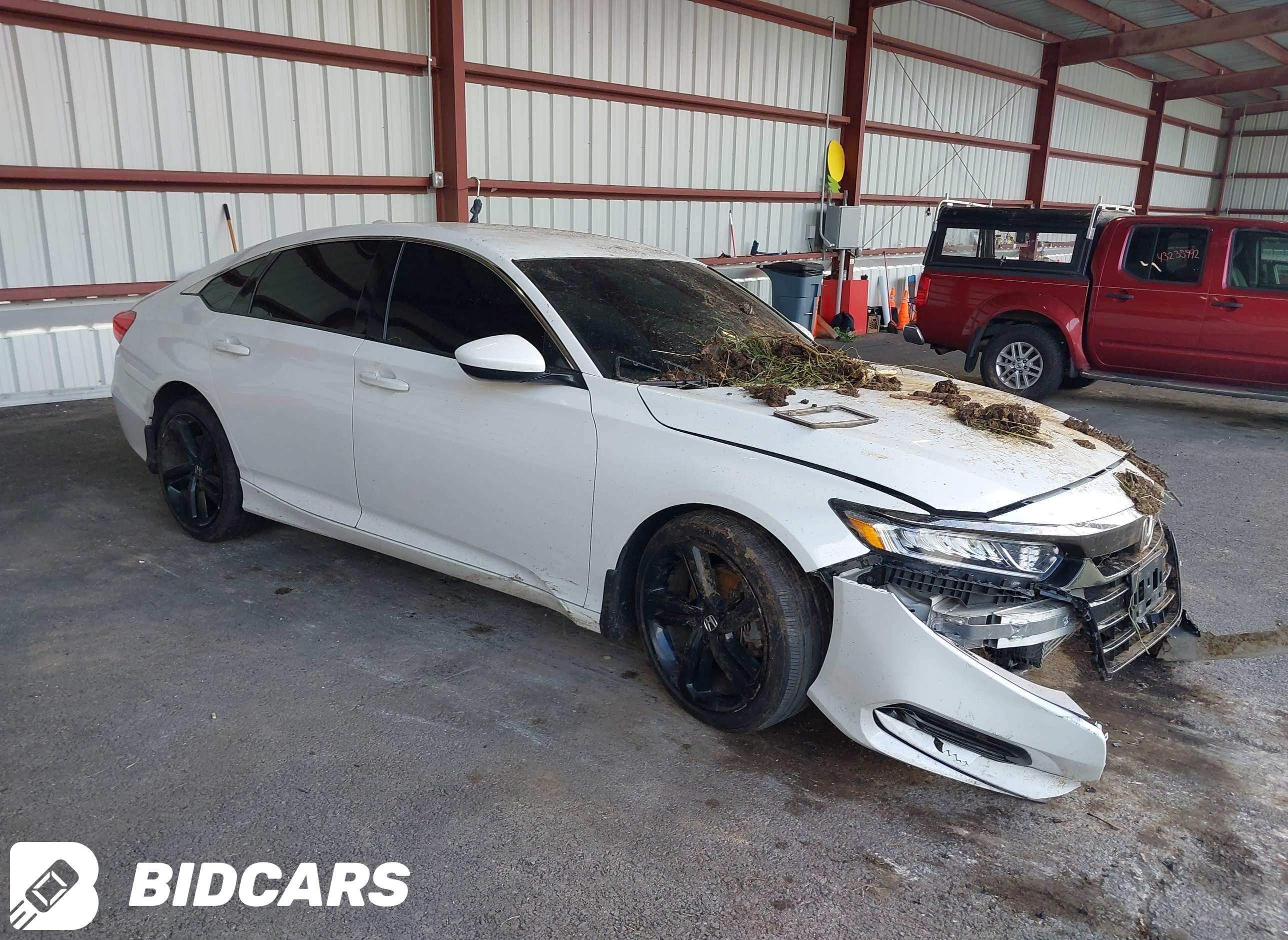 2019 Honda Accord, Sport