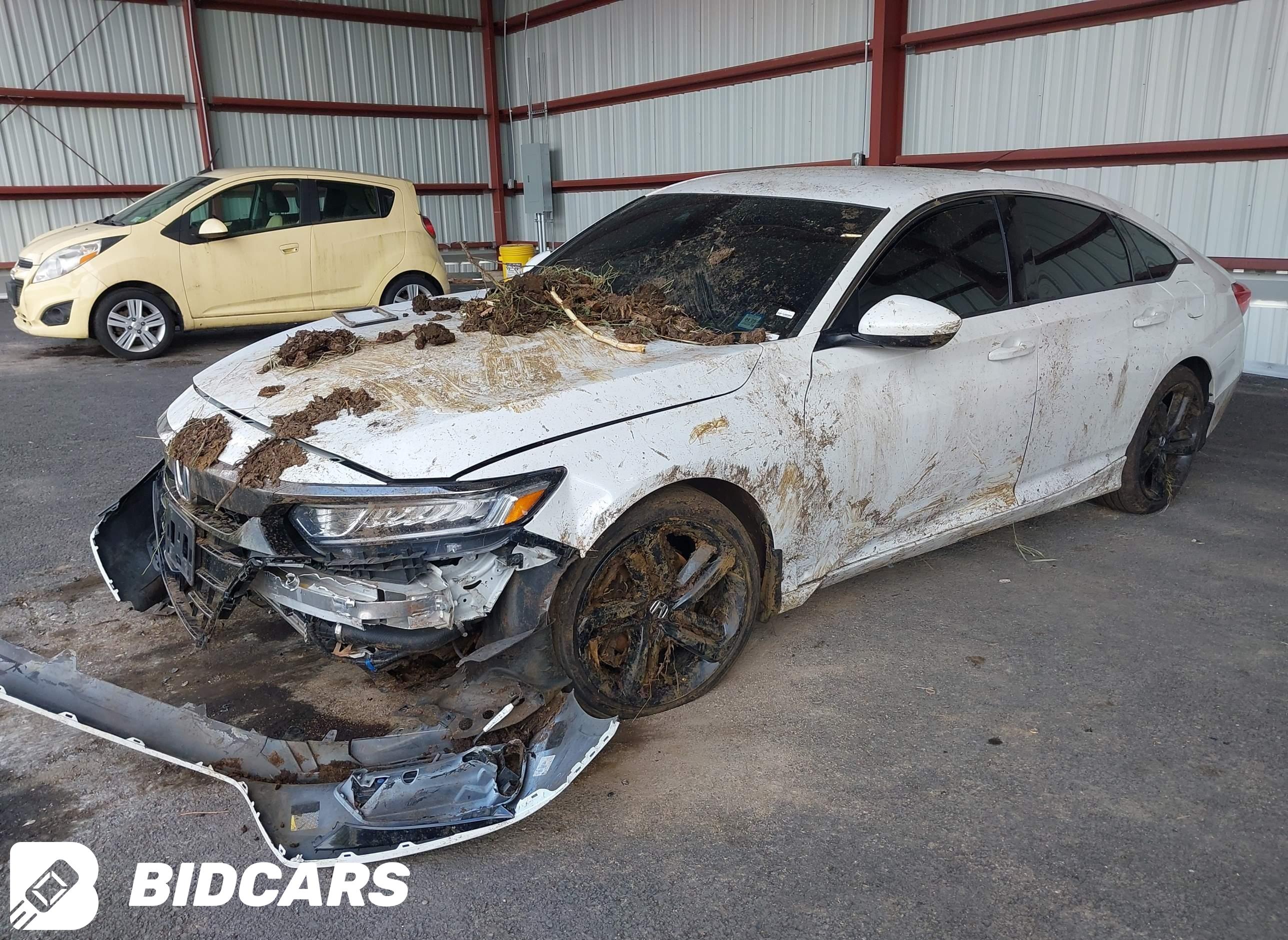 2019 Honda Accord, Sport