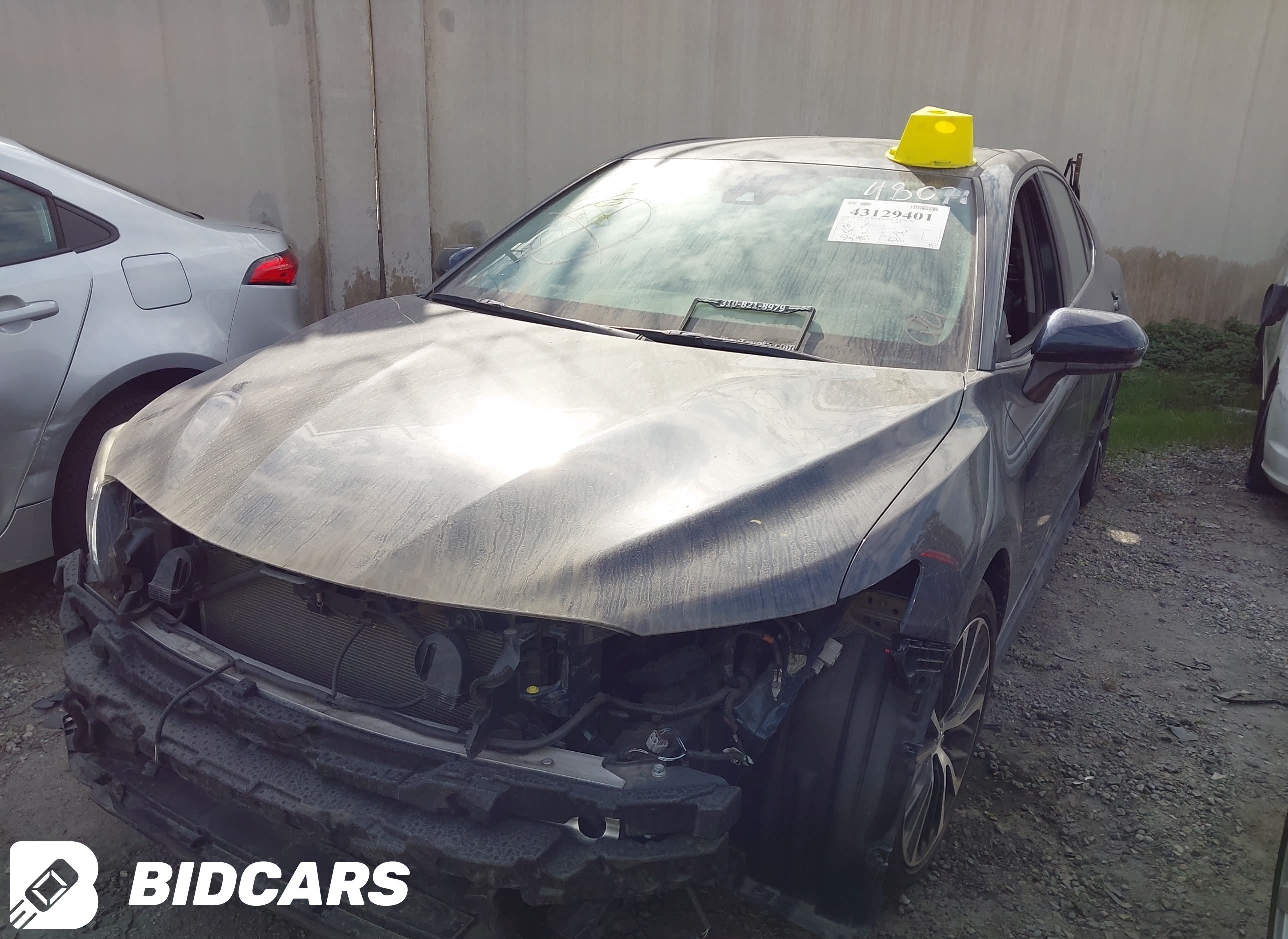 2019 Toyota Camry, SE