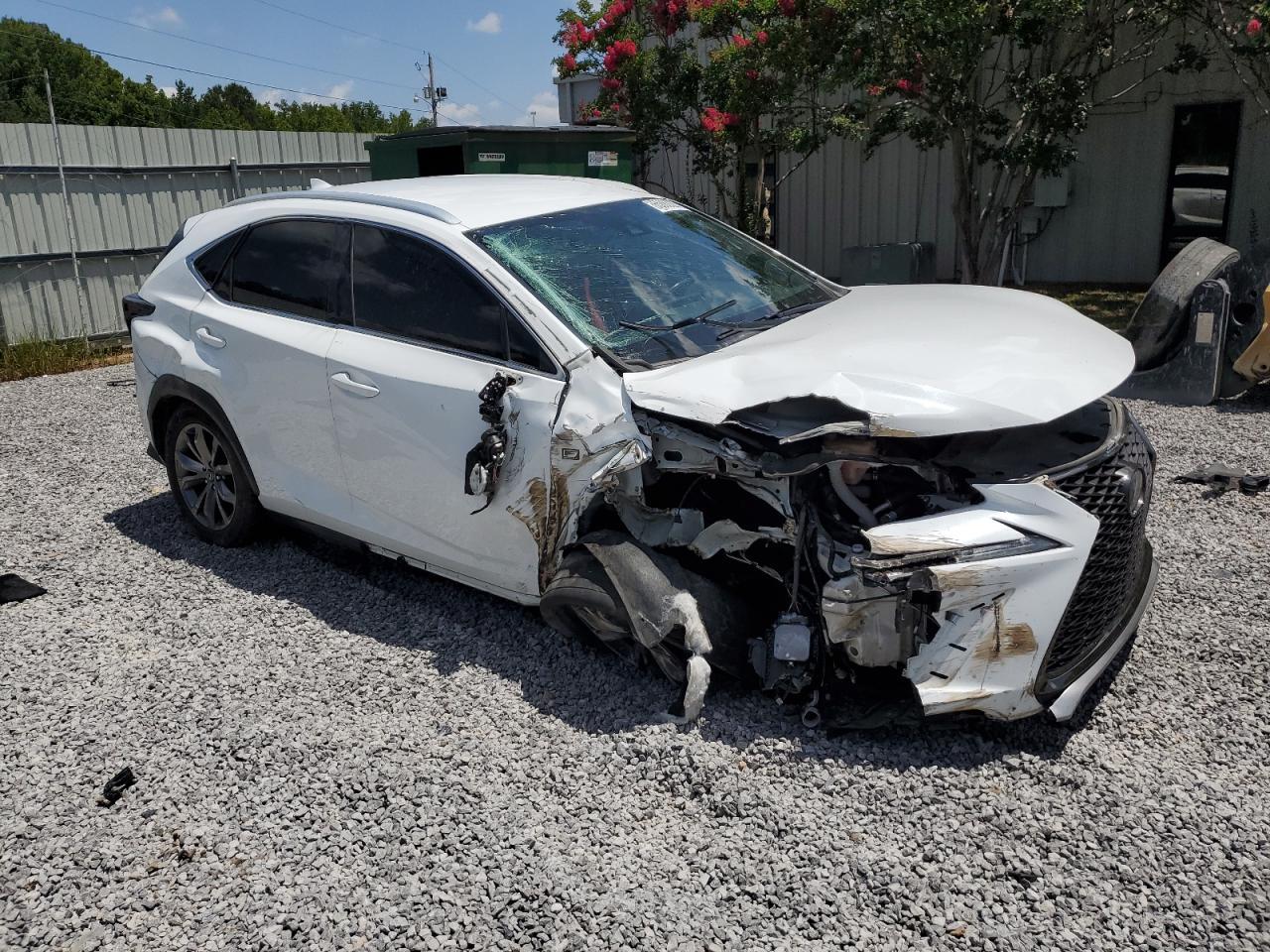 2020 Lexus NX, 300 F Sport