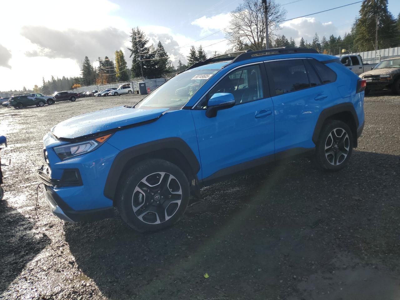2019 Toyota RAV4, Adventure