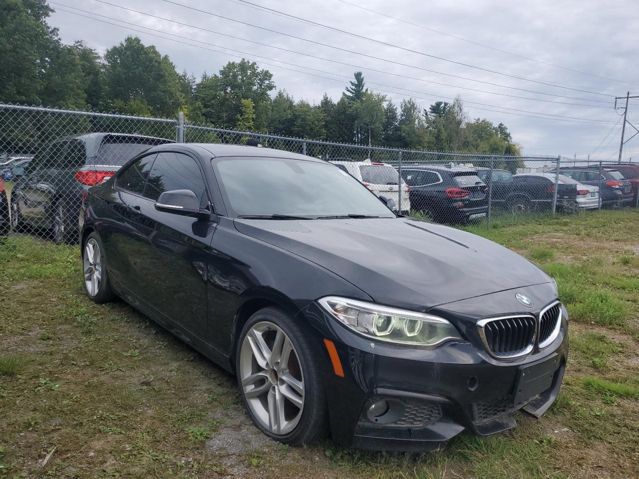 2017 BMW 2 Series, 230XI