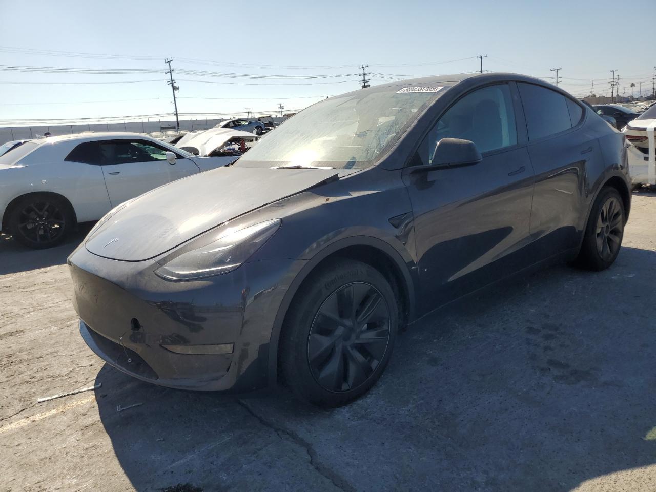2025 Tesla MODEL Y