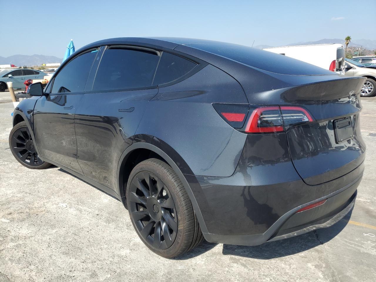 2025 Tesla MODEL Y