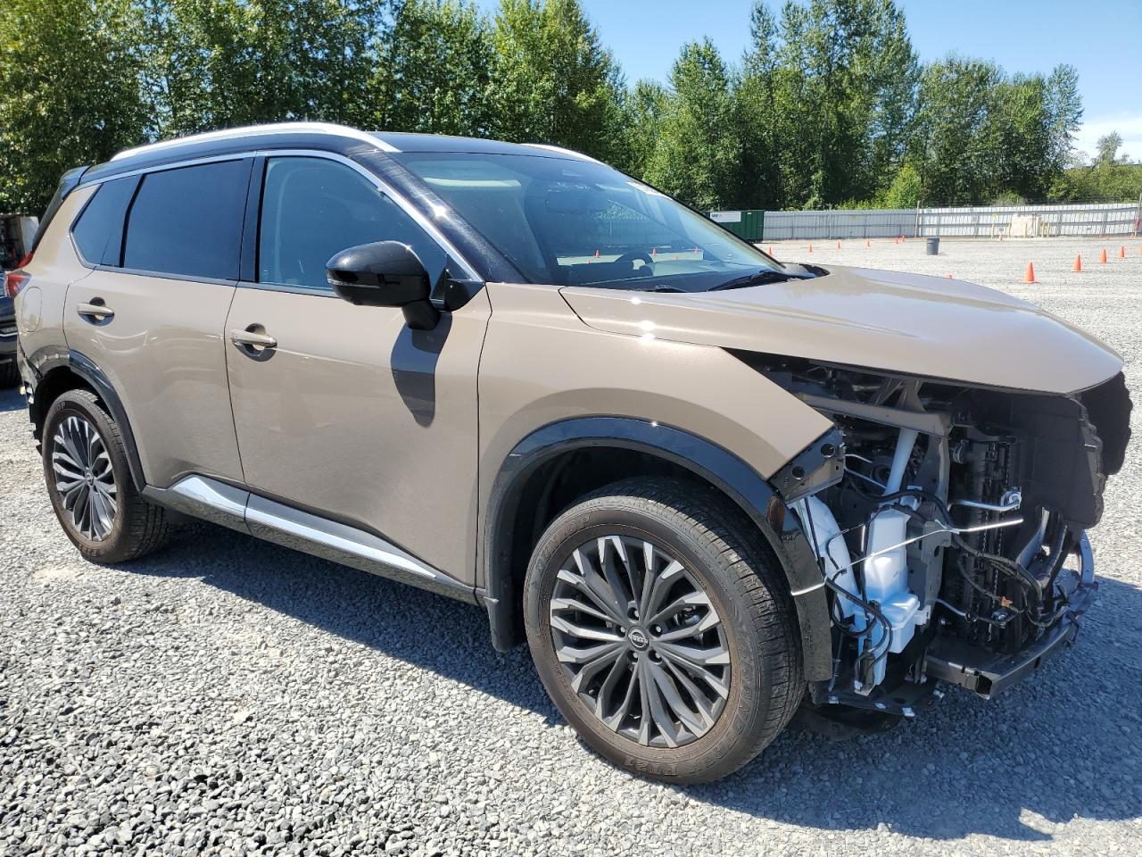 2024 Nissan Rogue, Platinum