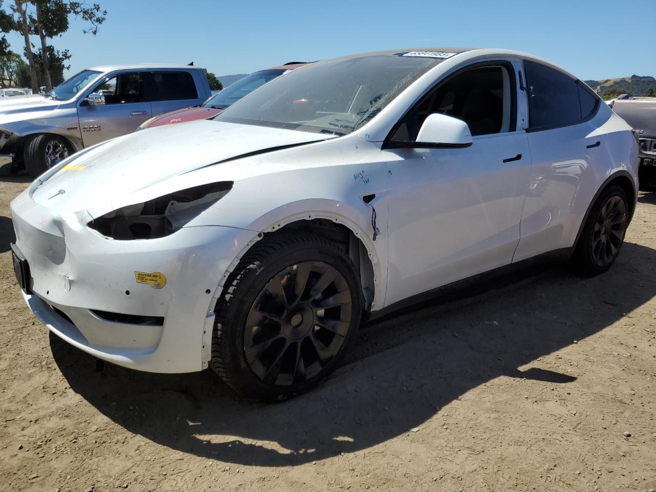 2020 Tesla MODEL Y