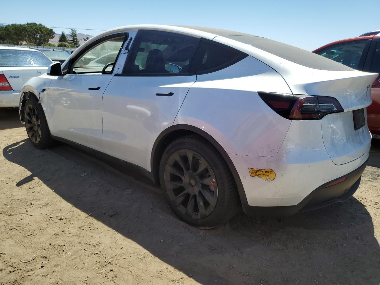 2020 Tesla MODEL Y