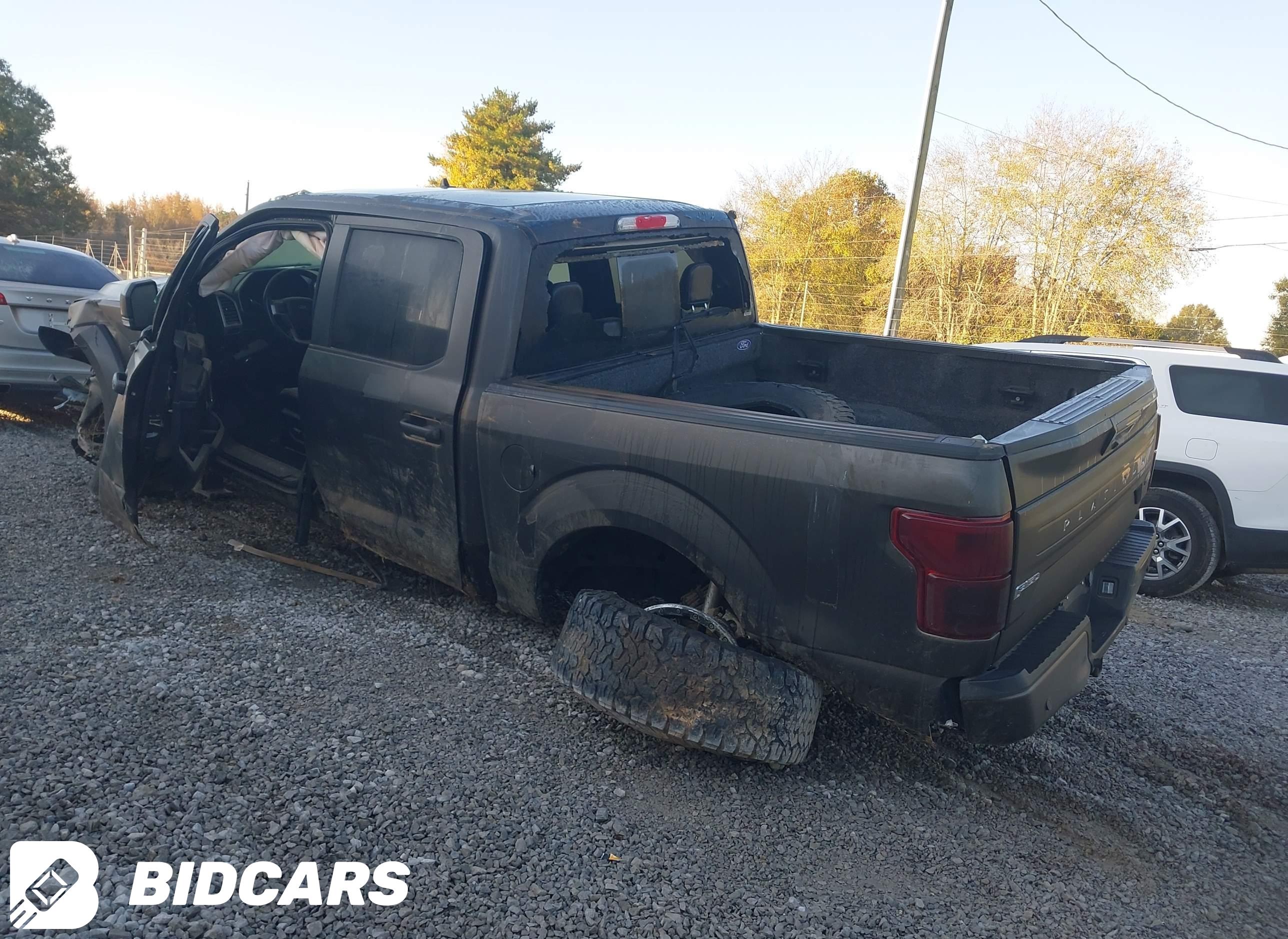 2020 Ford F-150, Platinum