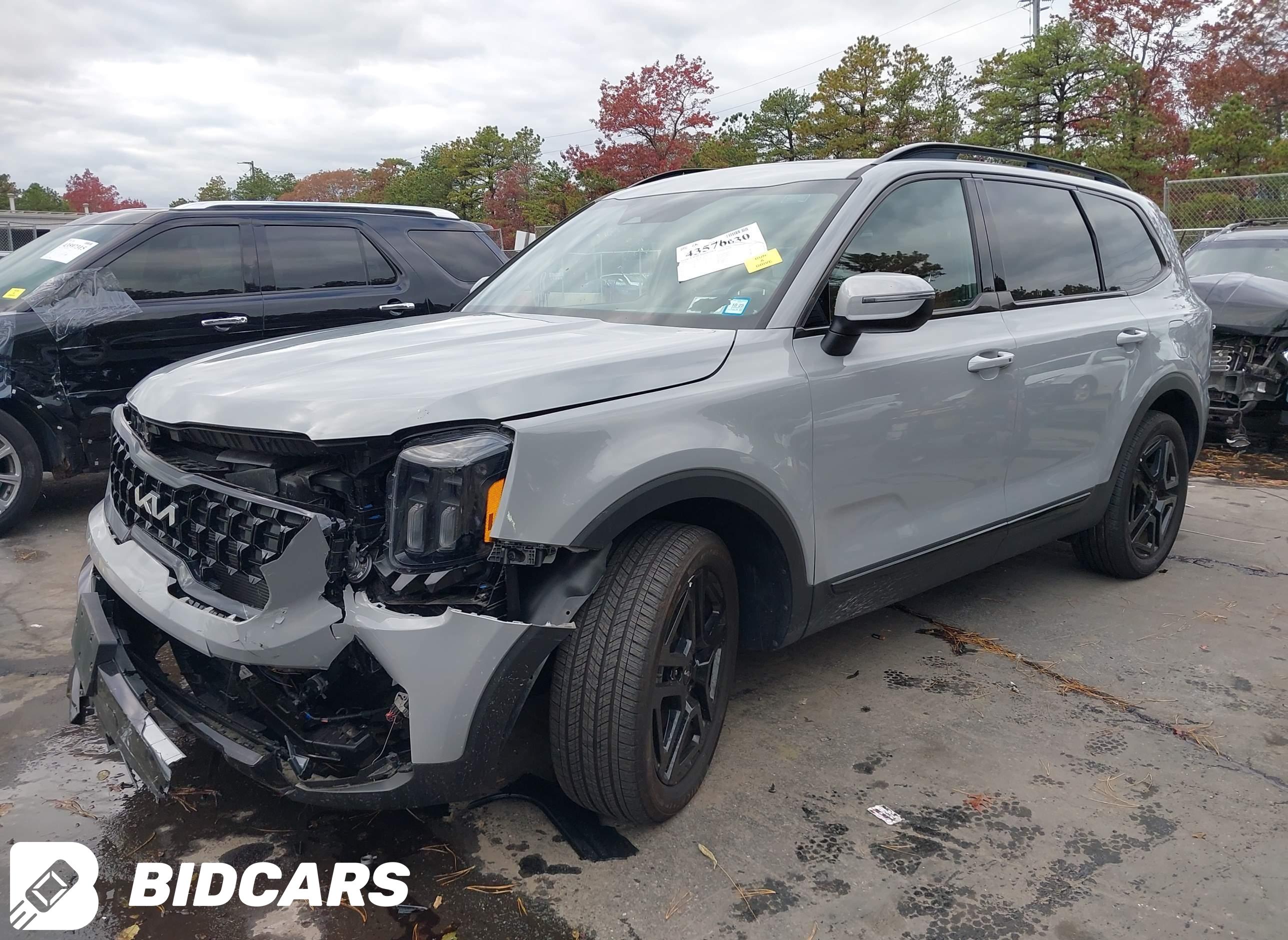 2024 KIA Telluride, Ex X-Line