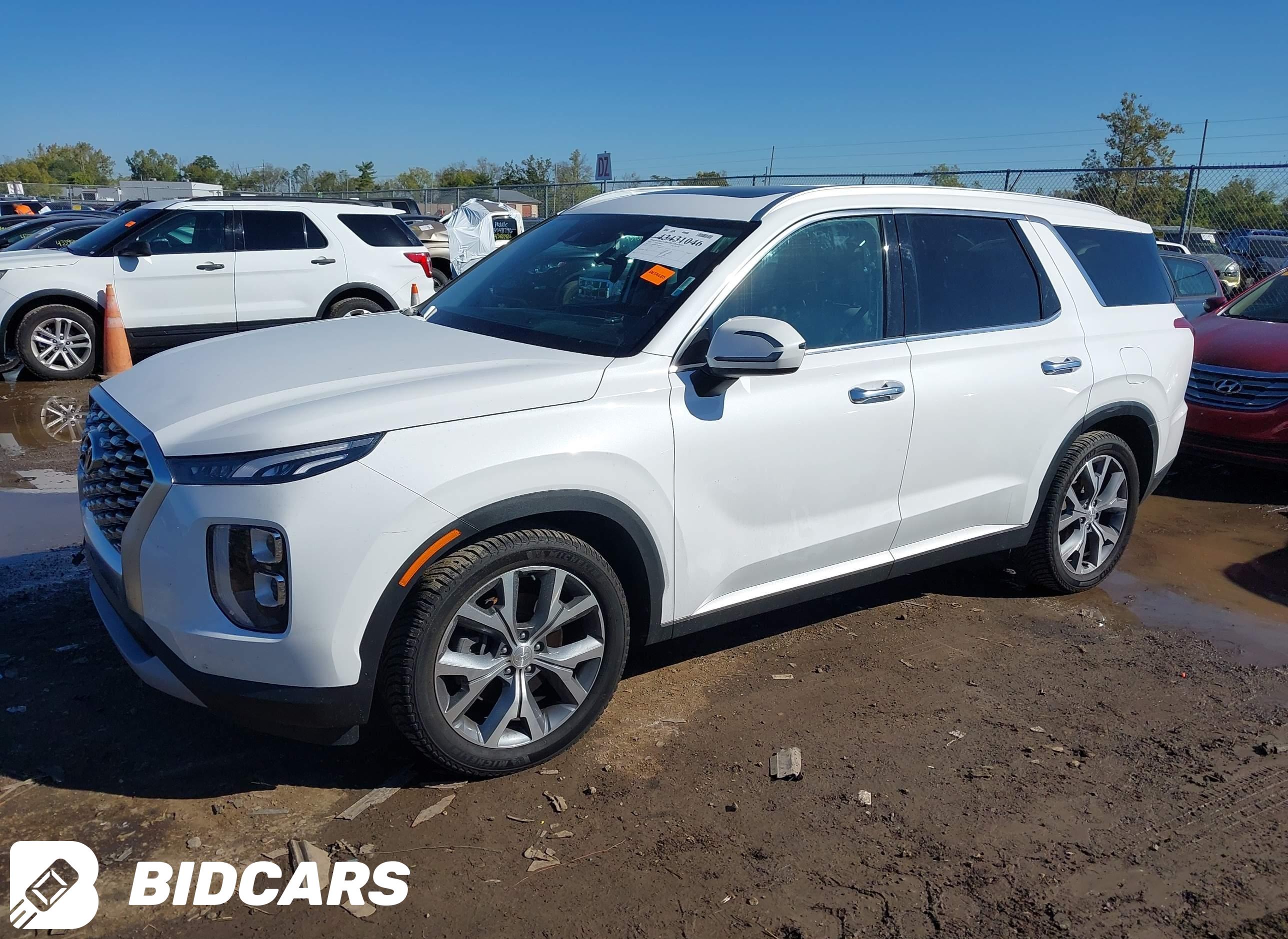2020 Hyundai Palisade, Sel