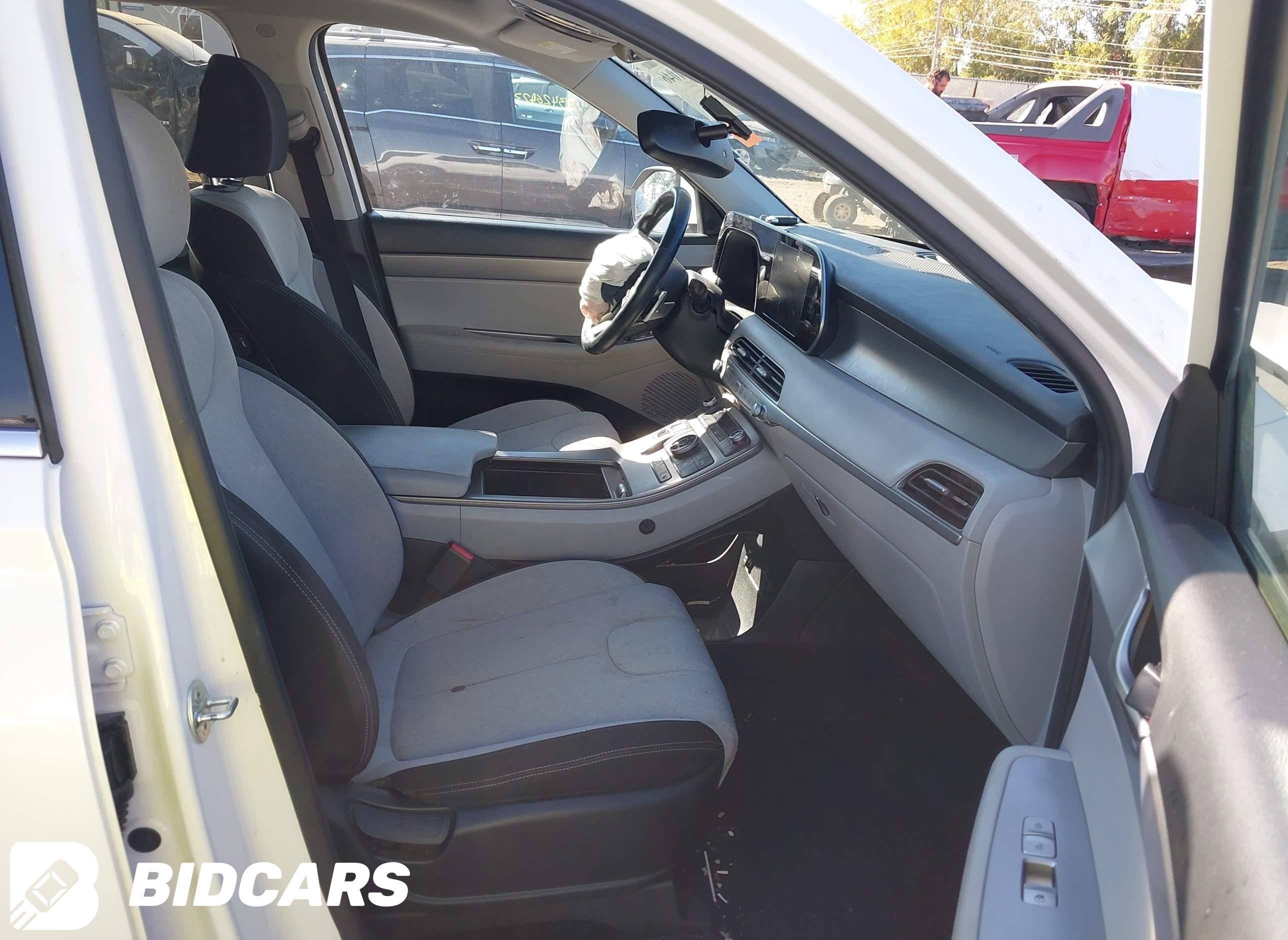 2020 Hyundai Palisade, Sel