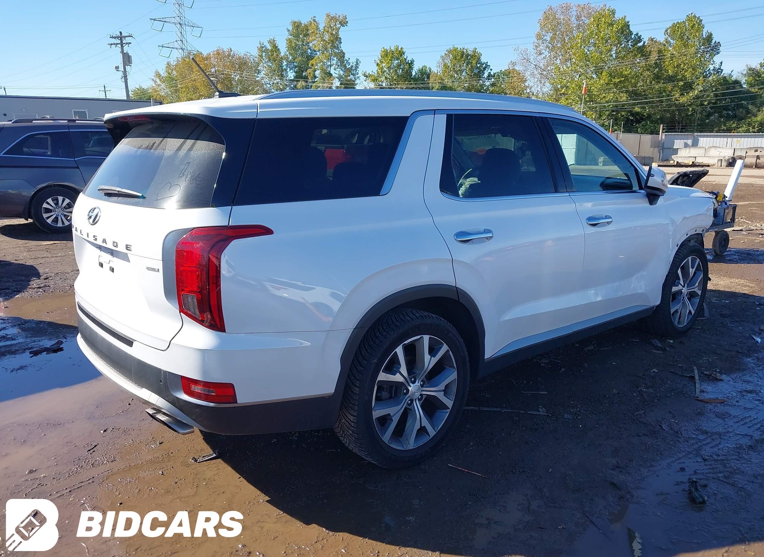 2020 Hyundai Palisade, Sel