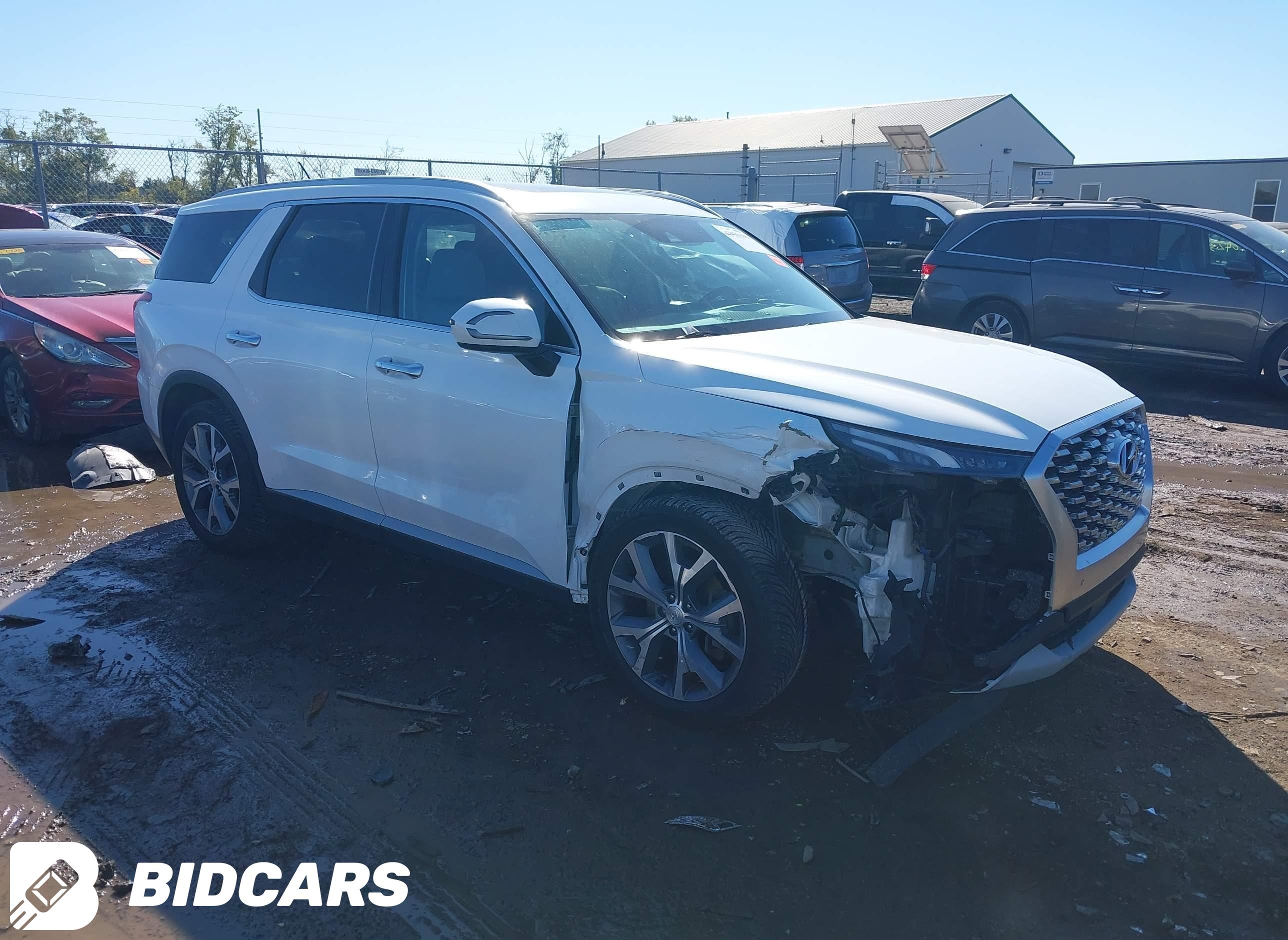 2020 Hyundai Palisade, Sel