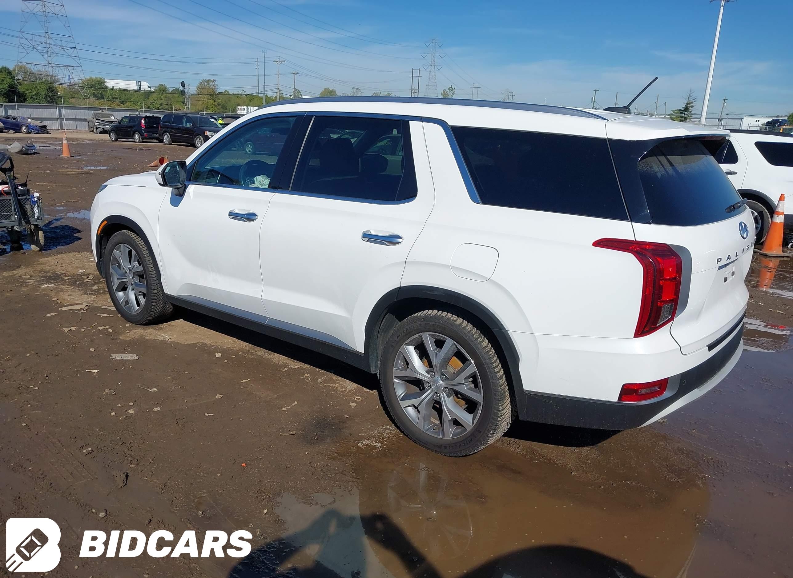 2020 Hyundai Palisade, Sel