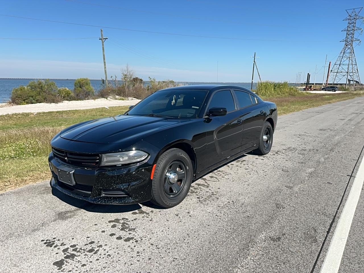 2015 Dodge Charger, Police
