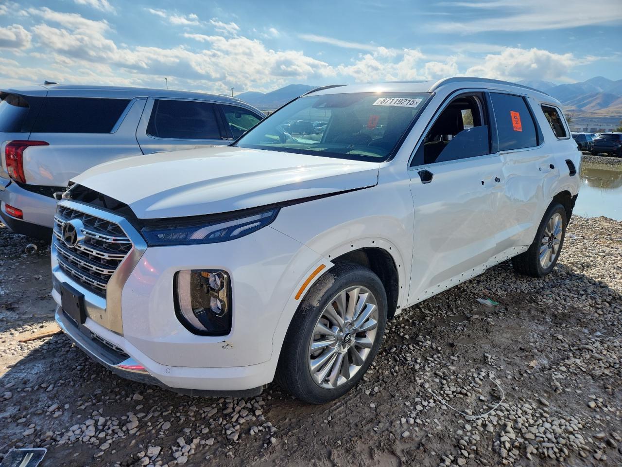 2020 Hyundai Palisade, Limited