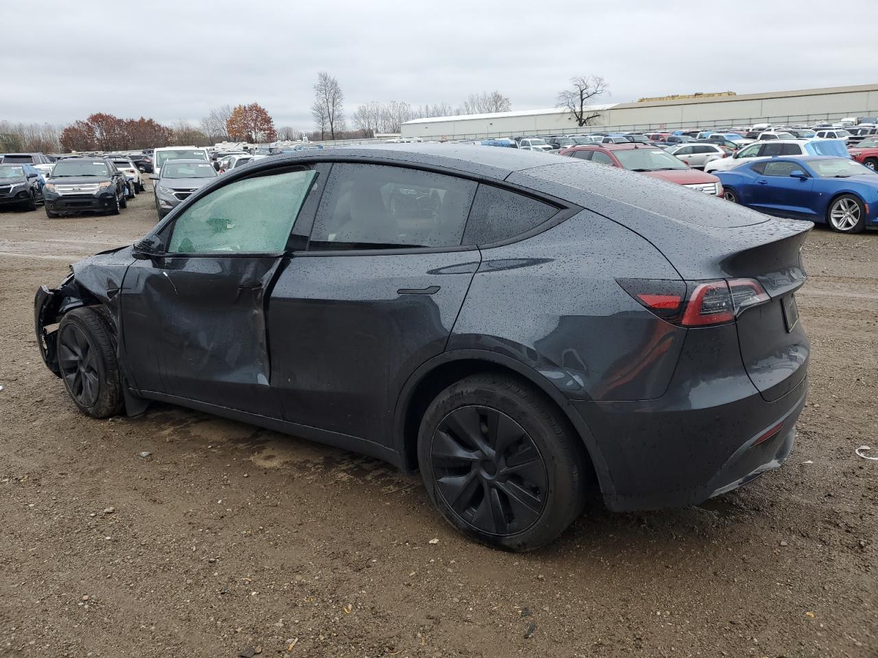 2025 Tesla MODEL Y