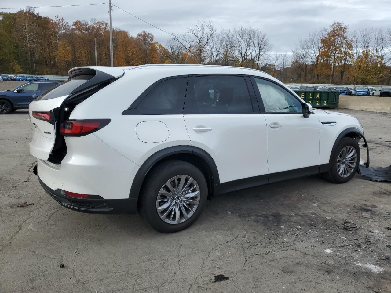 2025 Mazda CX-90, Preferred