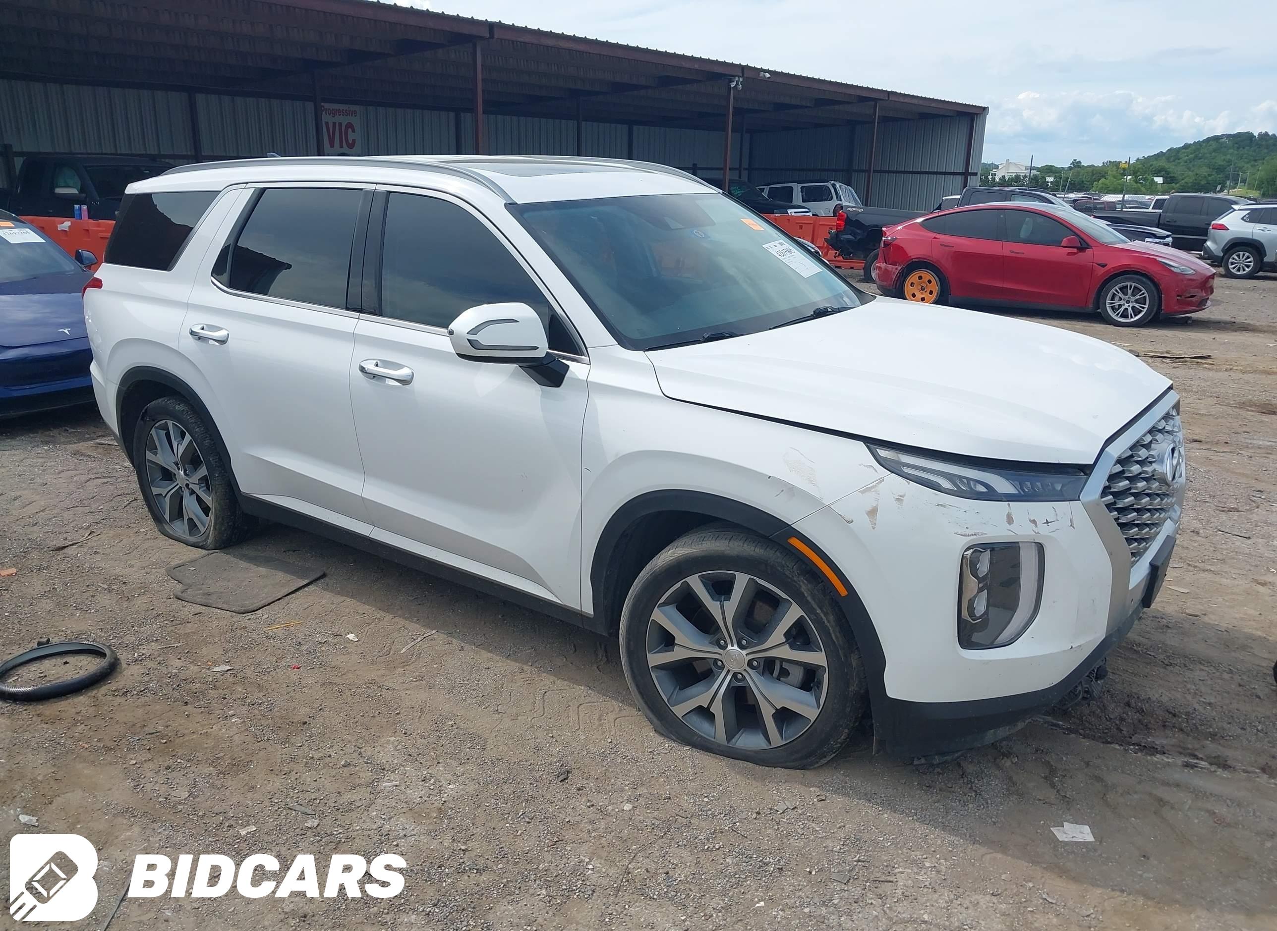 2020 Hyundai Palisade, Sel