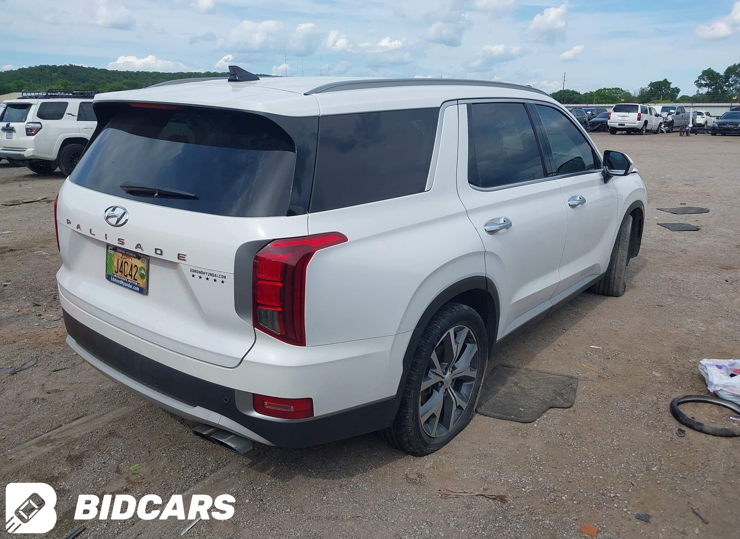 2020 Hyundai Palisade, Sel