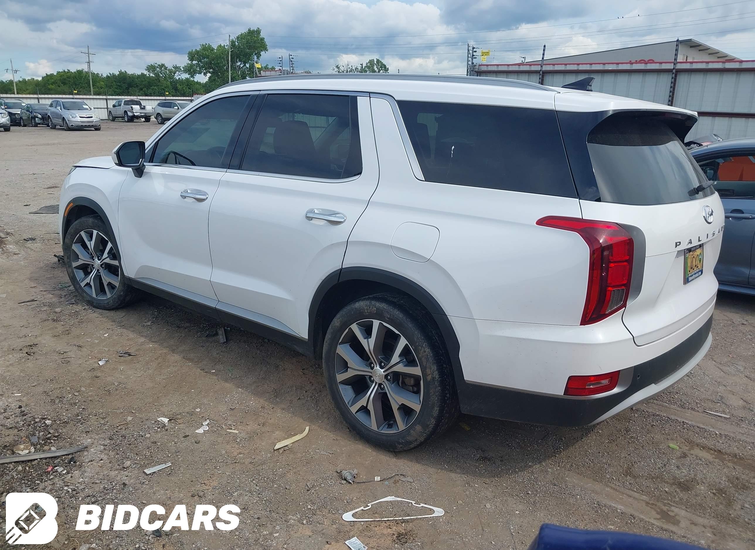 2020 Hyundai Palisade, Sel