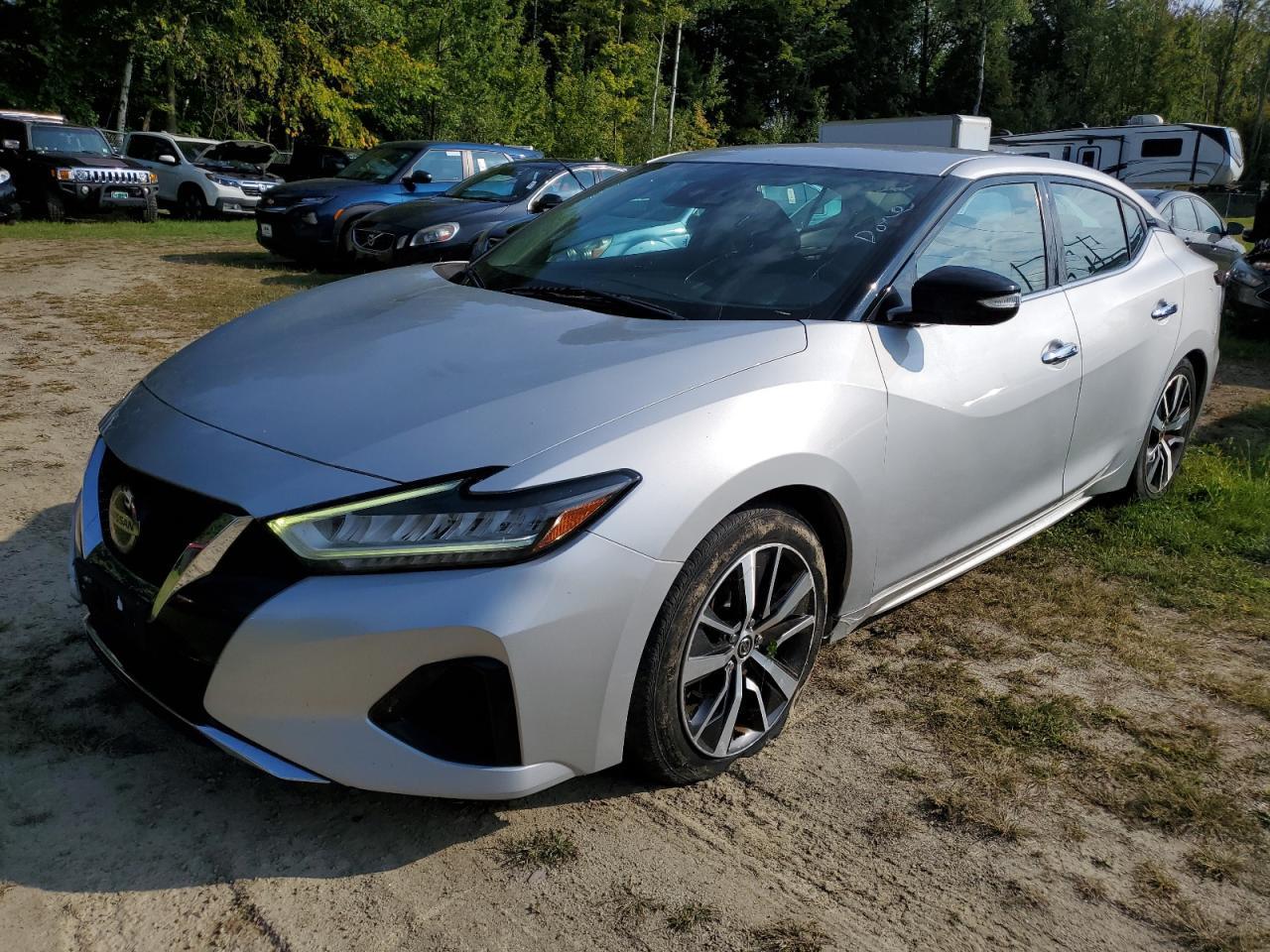 2020 Niss Maxima, SV