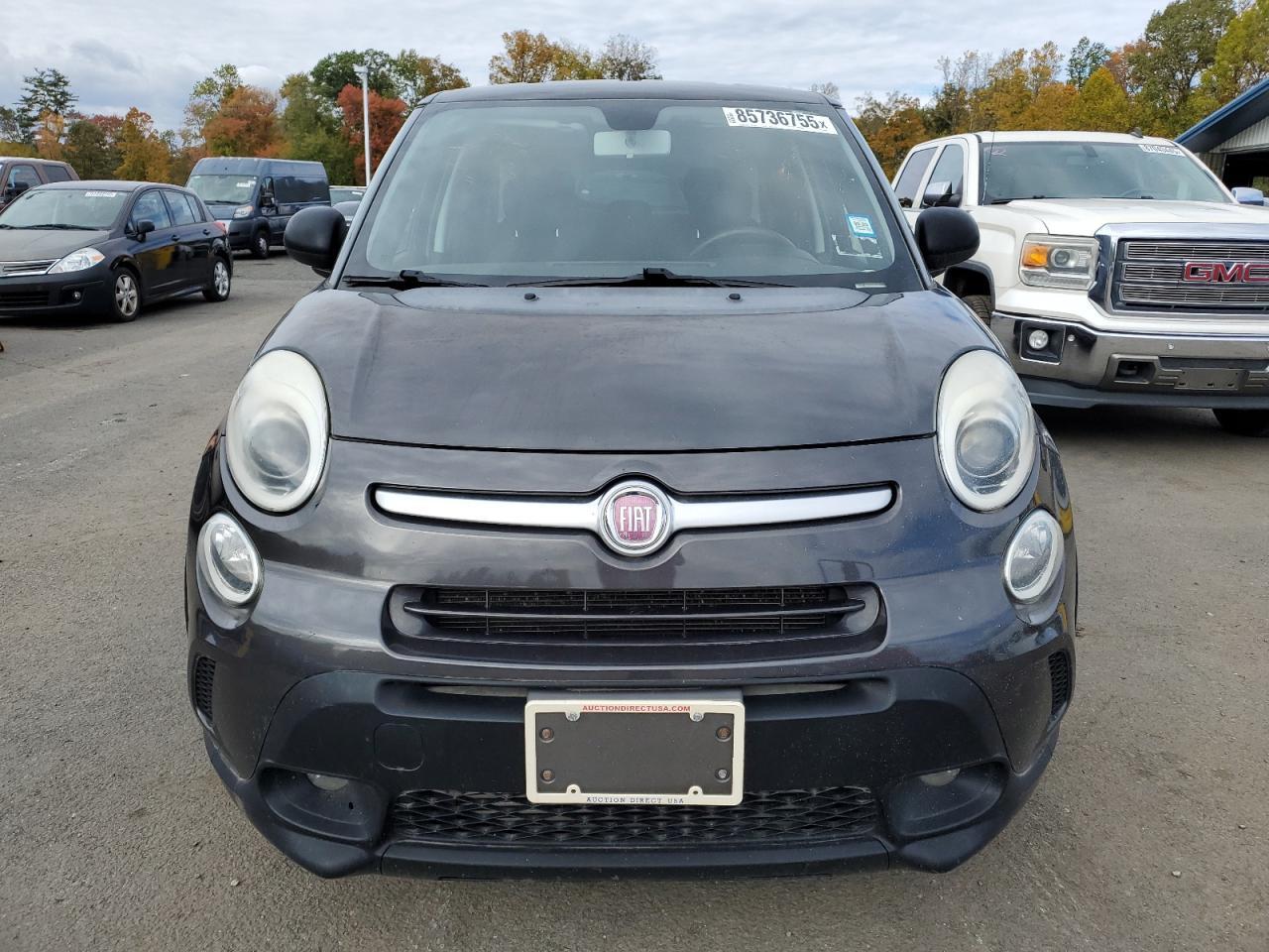 2015 Fiat 500L, Trekking