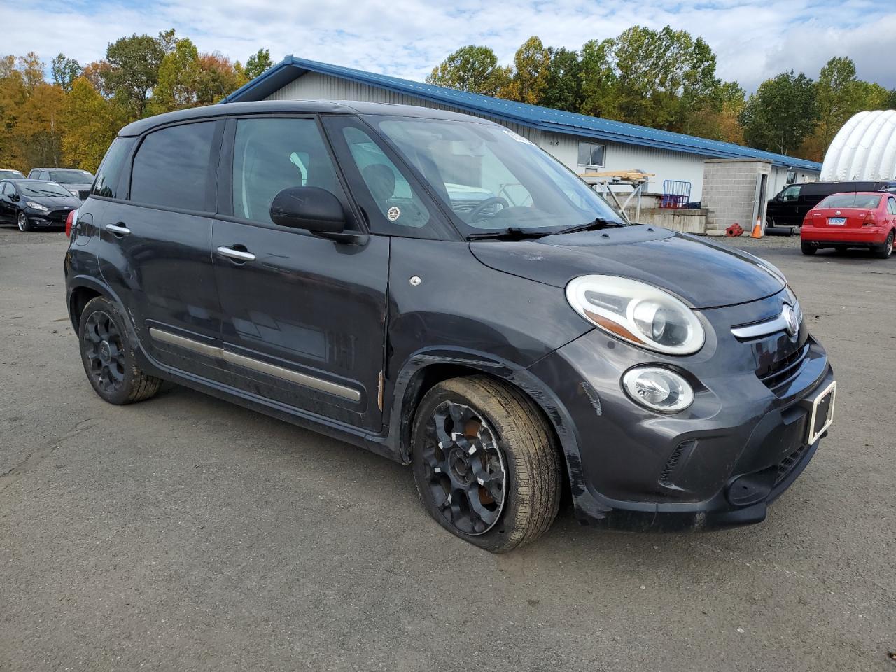 2015 Fiat 500L, Trekking