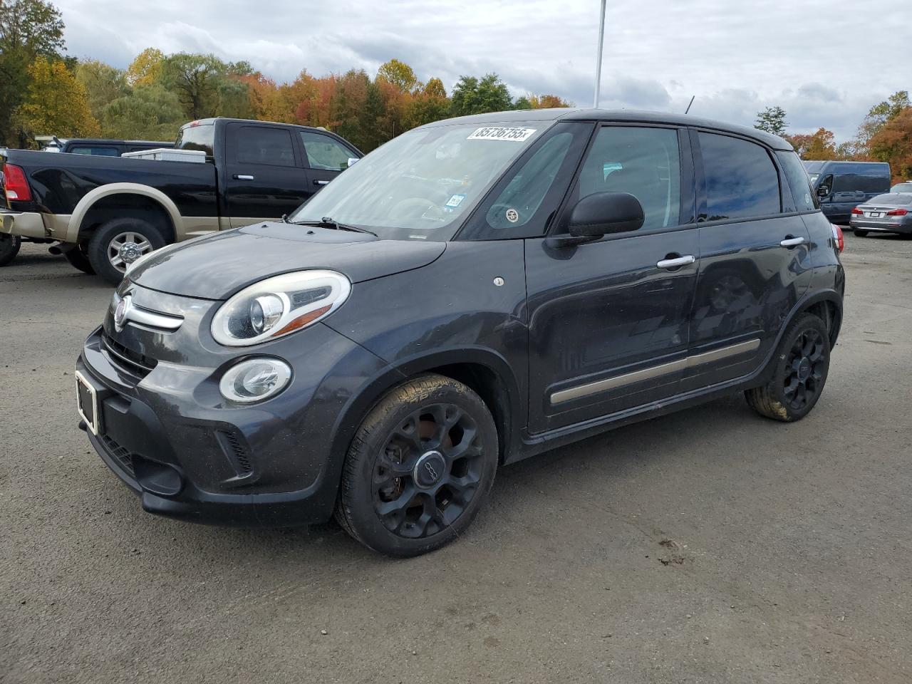 2015 Fiat 500L, Trekking