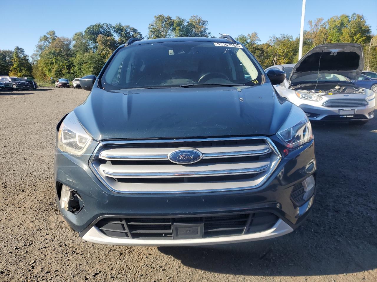 2019 Ford Escape, Sel