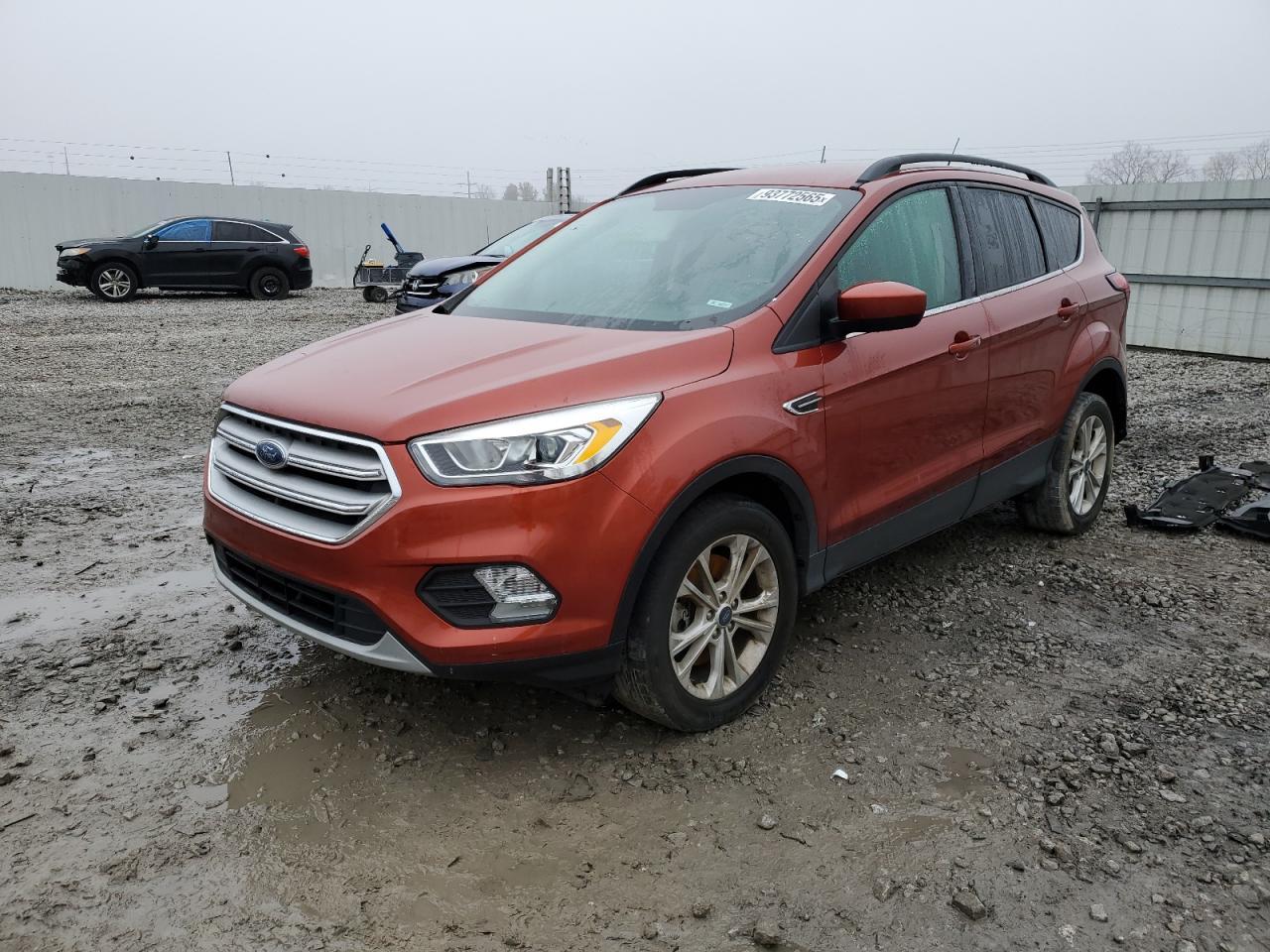 2019 Ford Escape, Sel