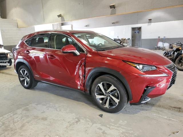 LEXUS NX 300 , 2020