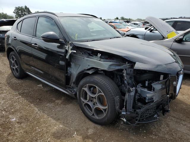 ALFA ROMEO STELVIO  , 2023