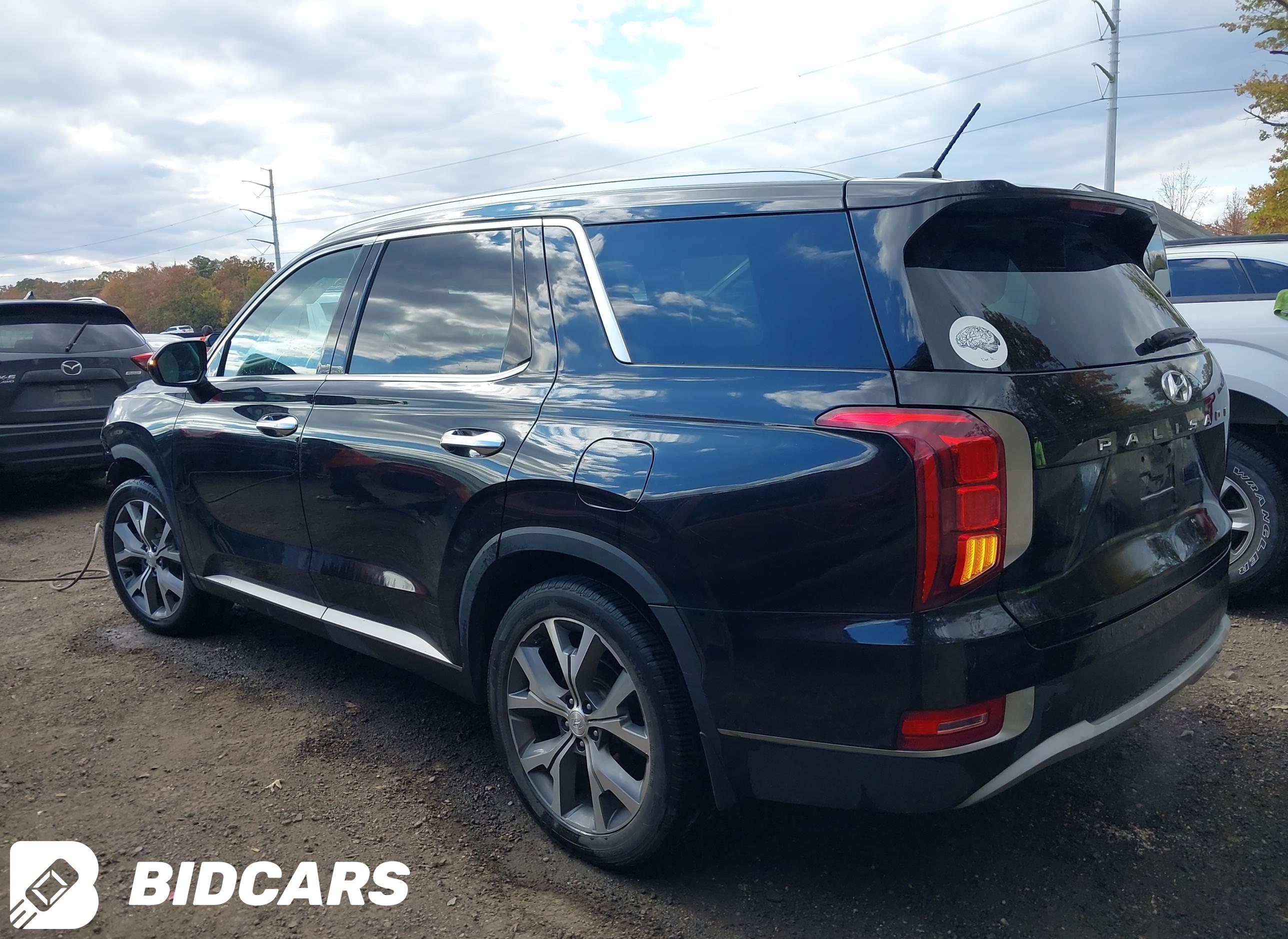 2020 Hyundai Palisade, Sel