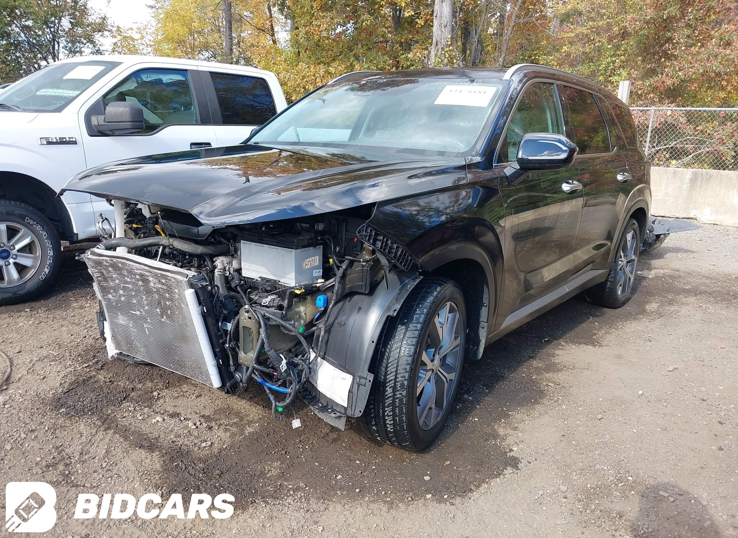 2020 Hyundai Palisade, Sel