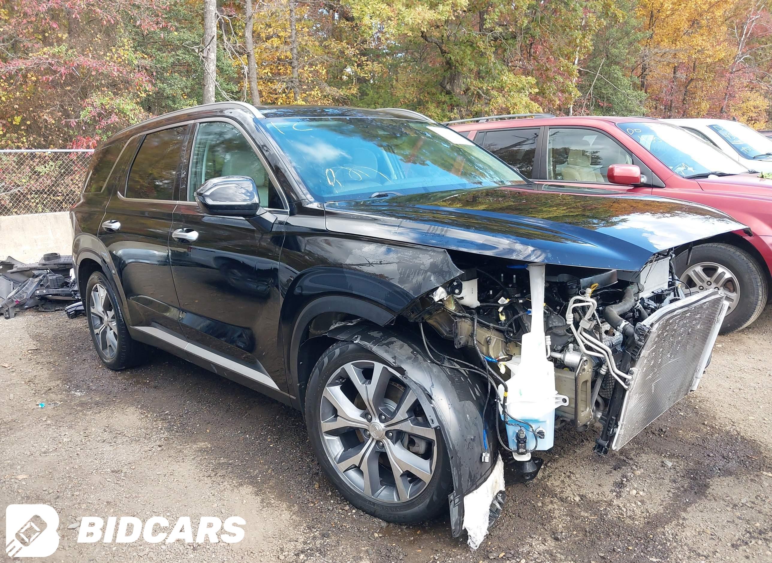 2020 Hyundai Palisade, Sel