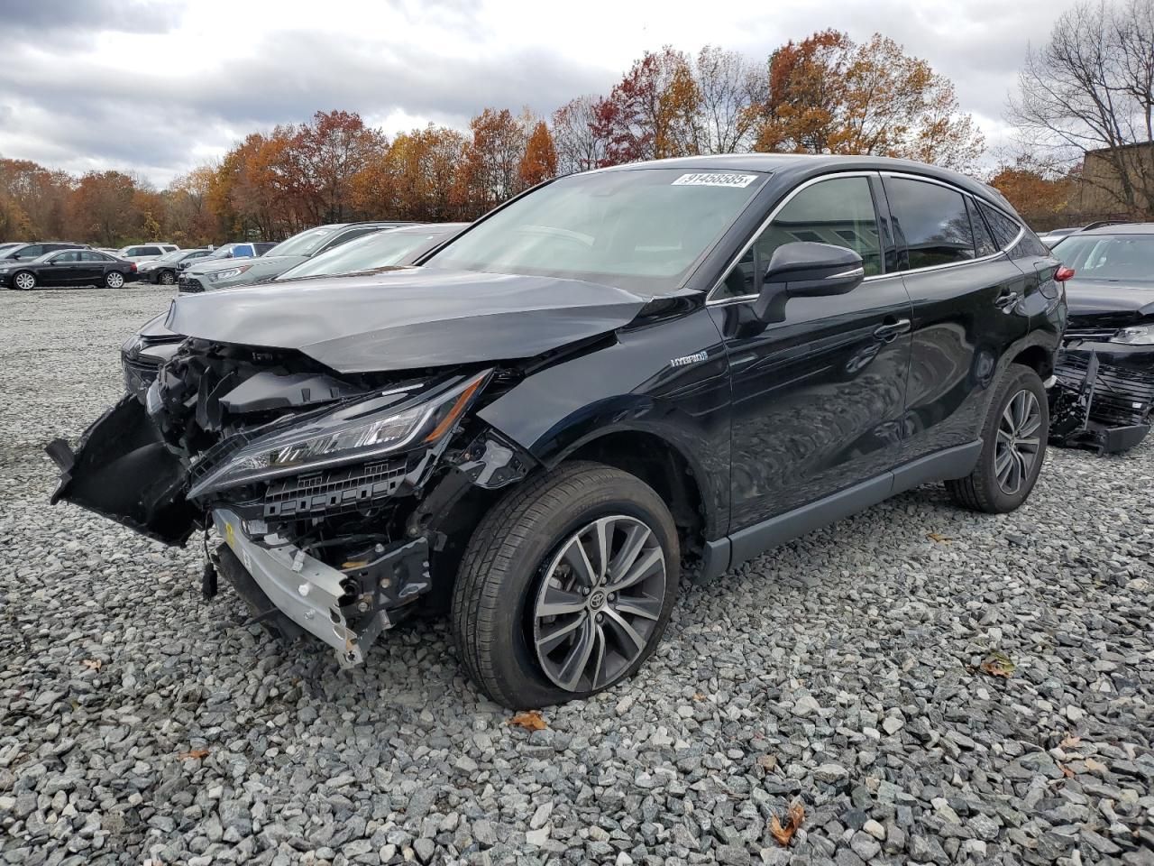 2021 Toyota Venza, LE