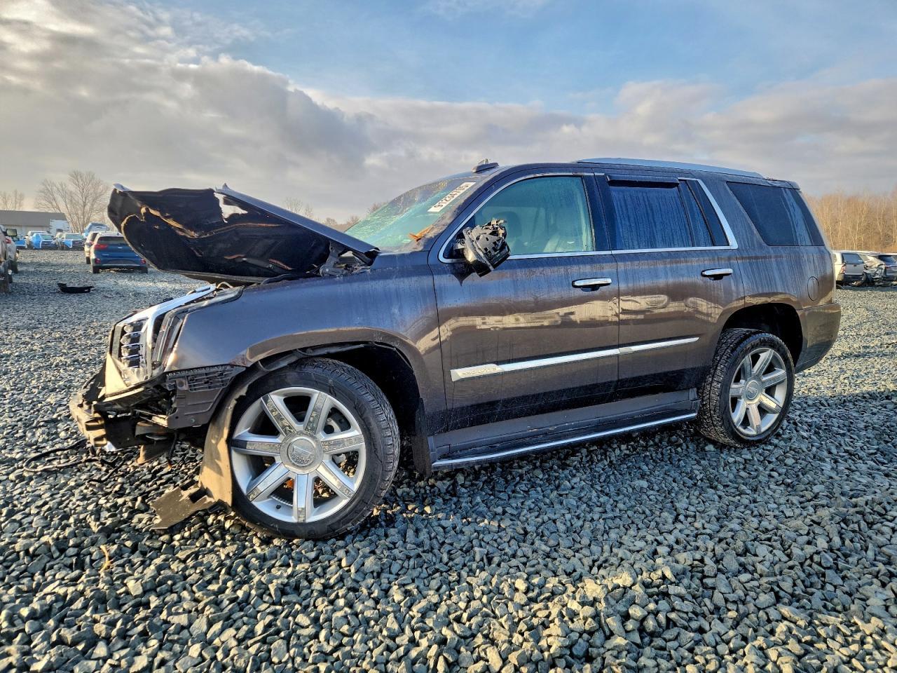 2018 Cadillac Escalade, Luxury