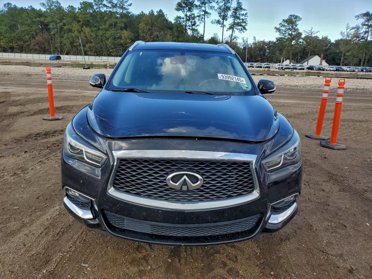 2019 Infiniti QX60, Luxe