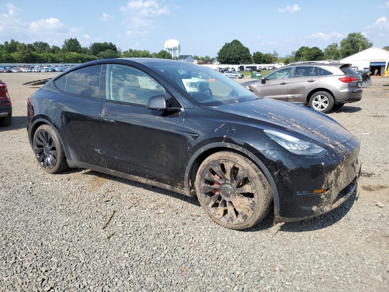 TESLA  MODEL Y , 2020