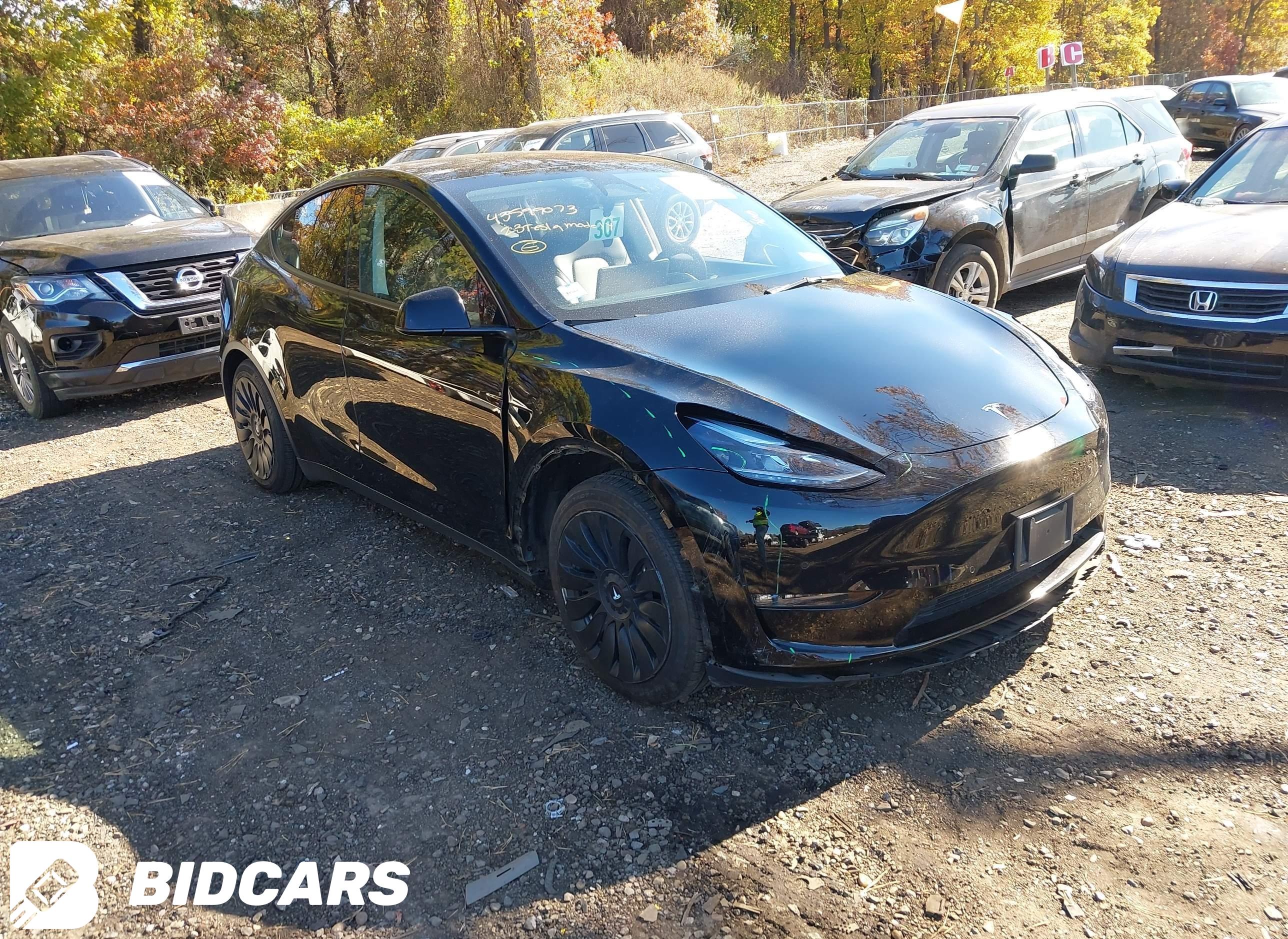 2023 Tesla Model Y, Awd/Long...
